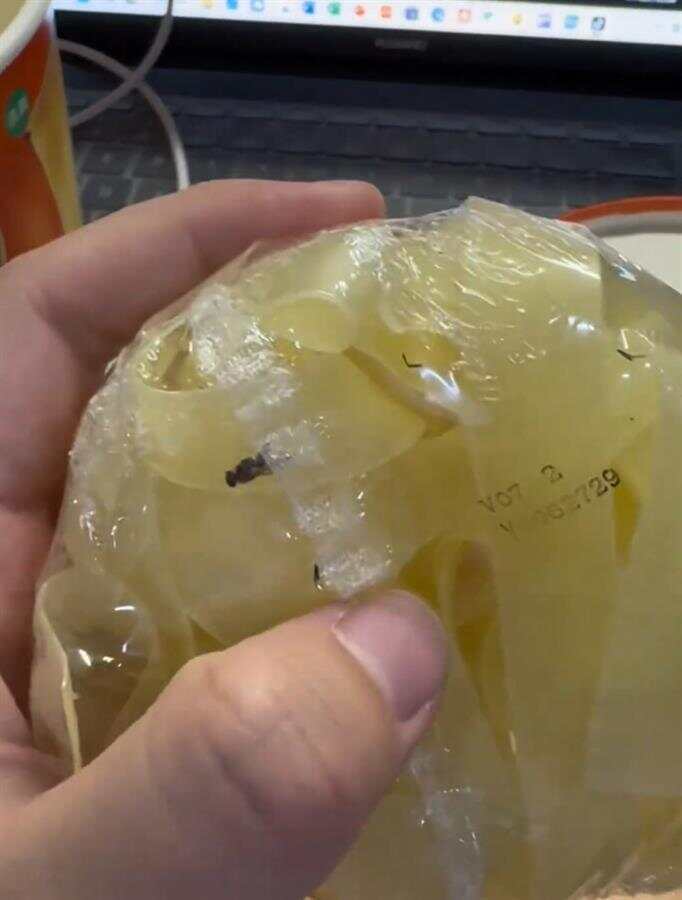 板面包装内发现苍蝇大学生维权被怼“给你打电话浪费话费”厂家道